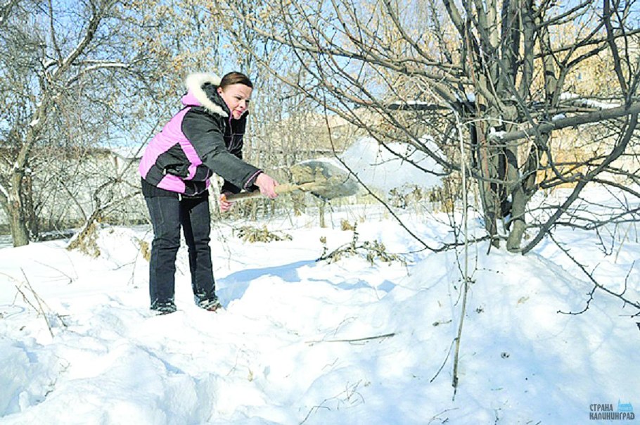 Возвратные заморозки