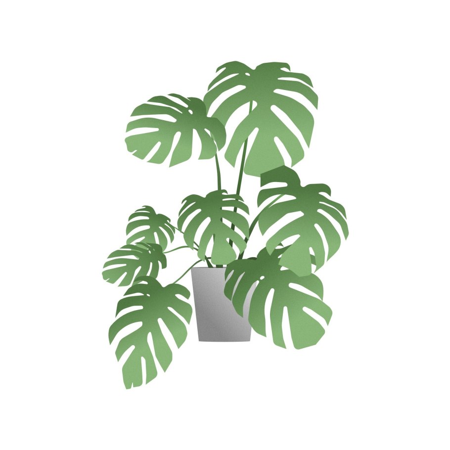 Зеленые тропические листья