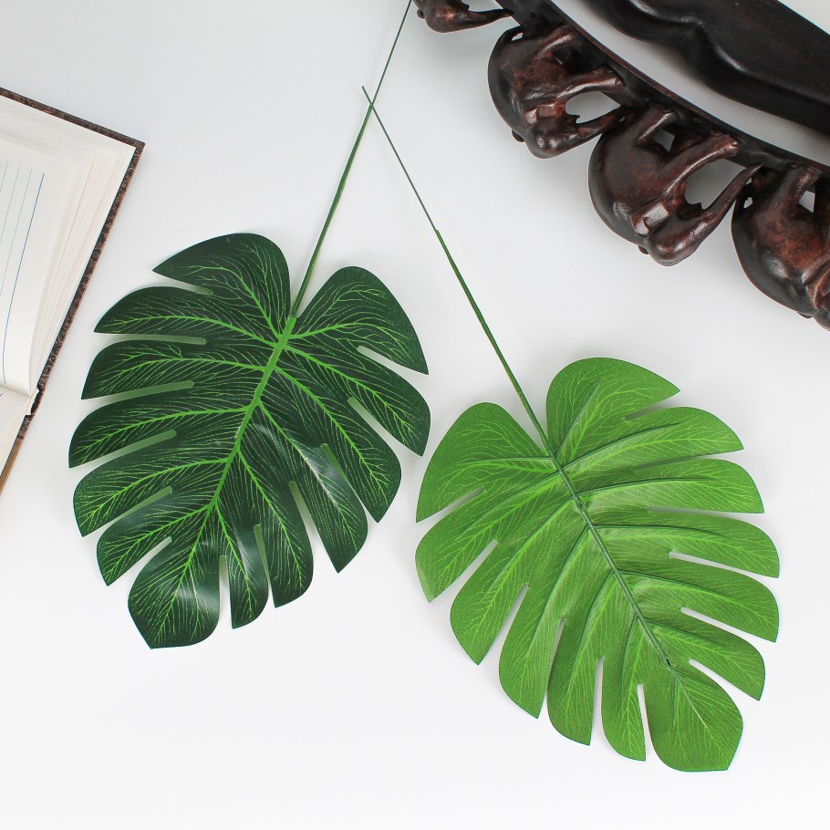 Монстера Делициоза