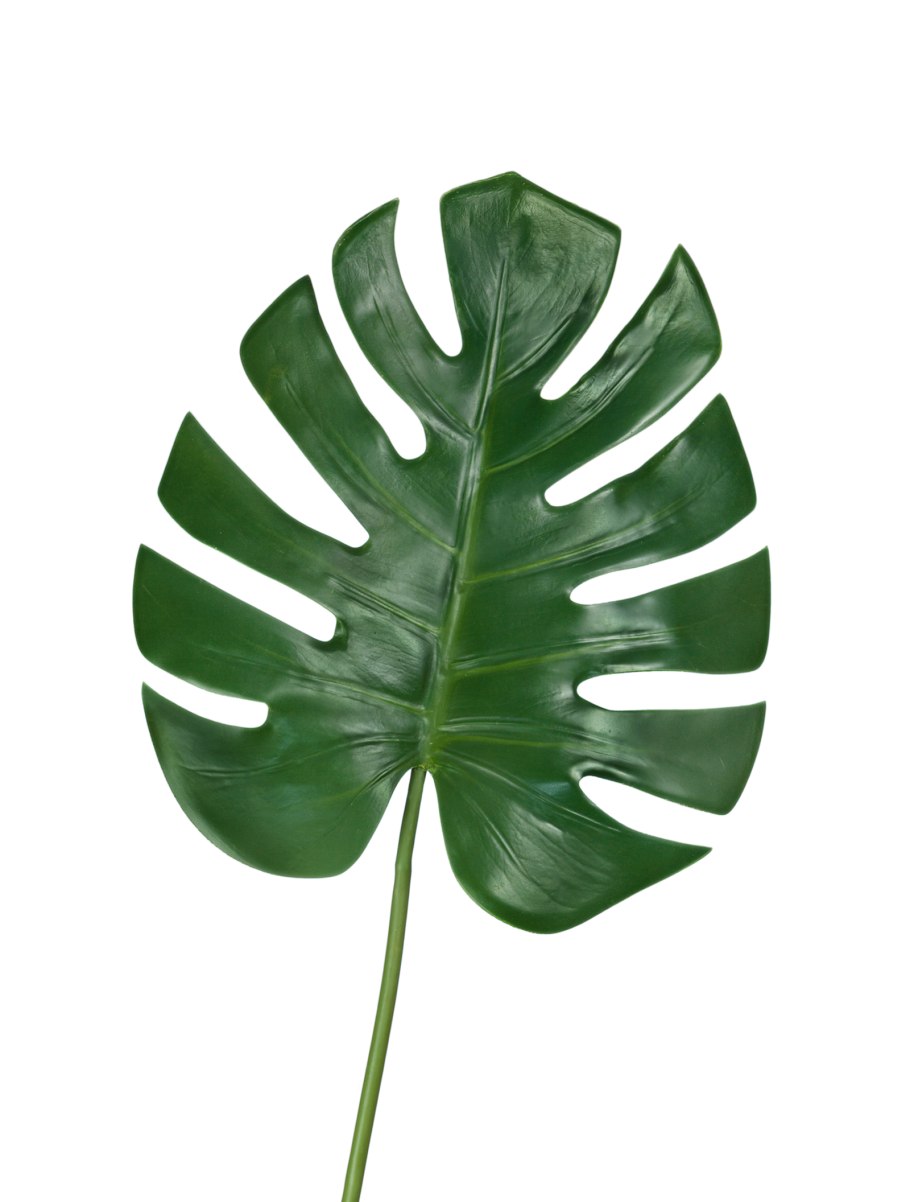 Зеленый лист