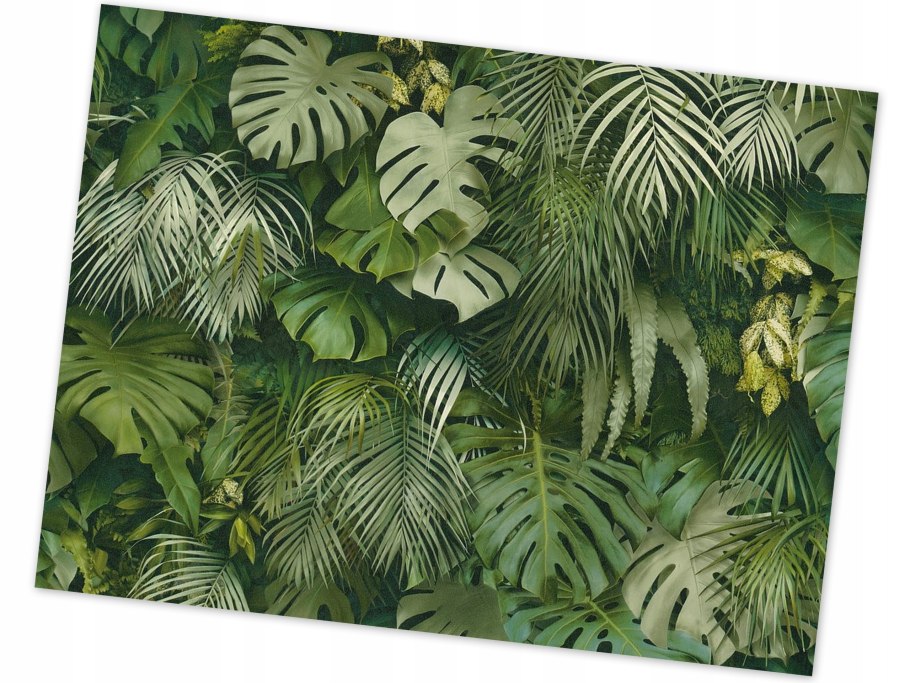 Листья монстеры розовые