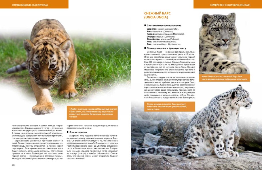 Хищники красной книги России