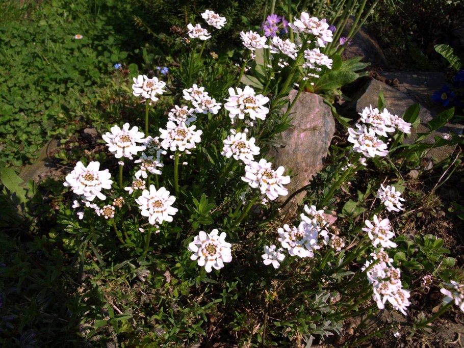 Редкие и исчезающие животные