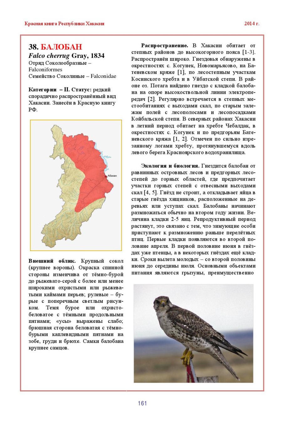 Животные Хакасии занесенные в красную книгу Хакасии