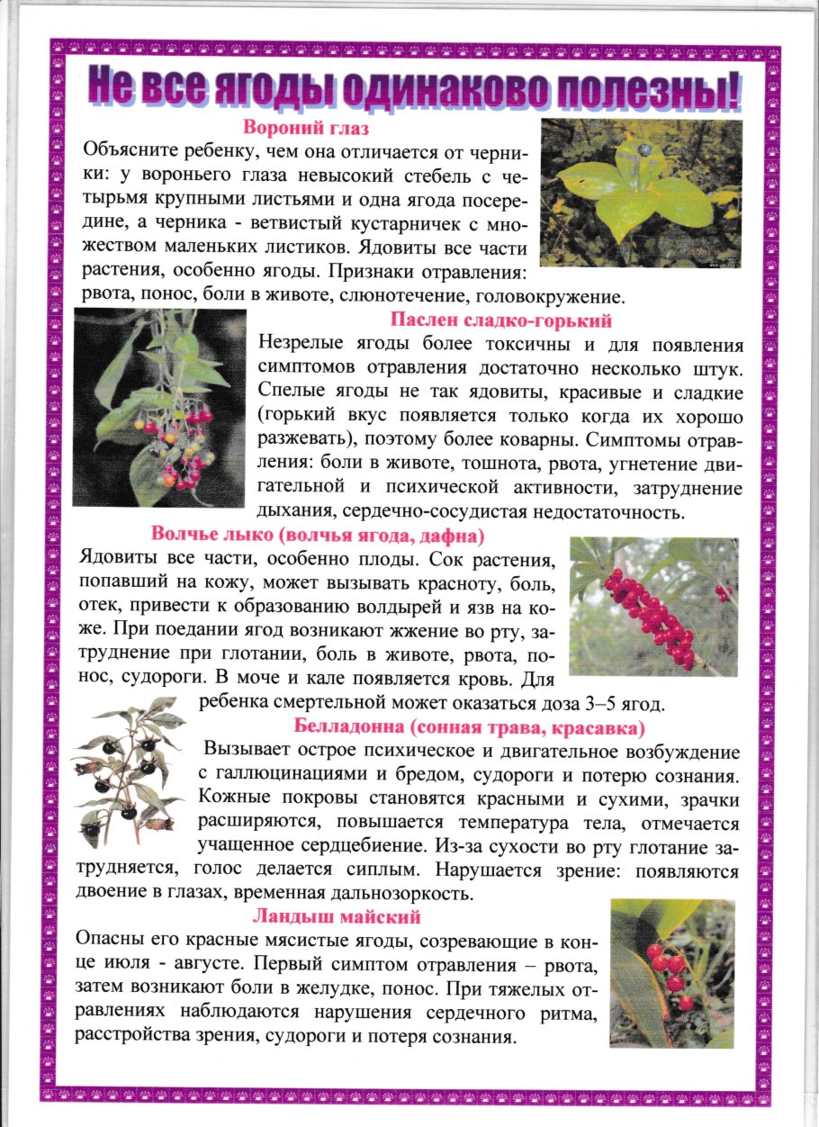 Осторожно ядовитые растения