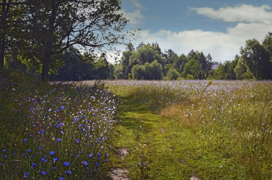 Луга Белоруссии