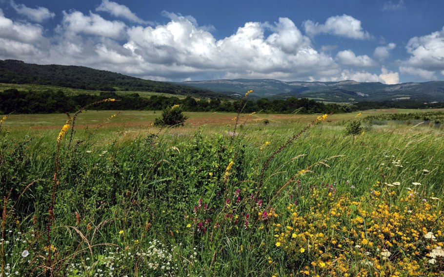 Озеро деревня поля Лужский