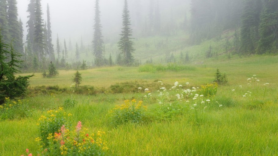 Луга деревни Башкирия