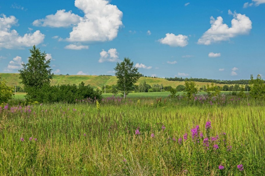 Суходольные Луга Татарстана