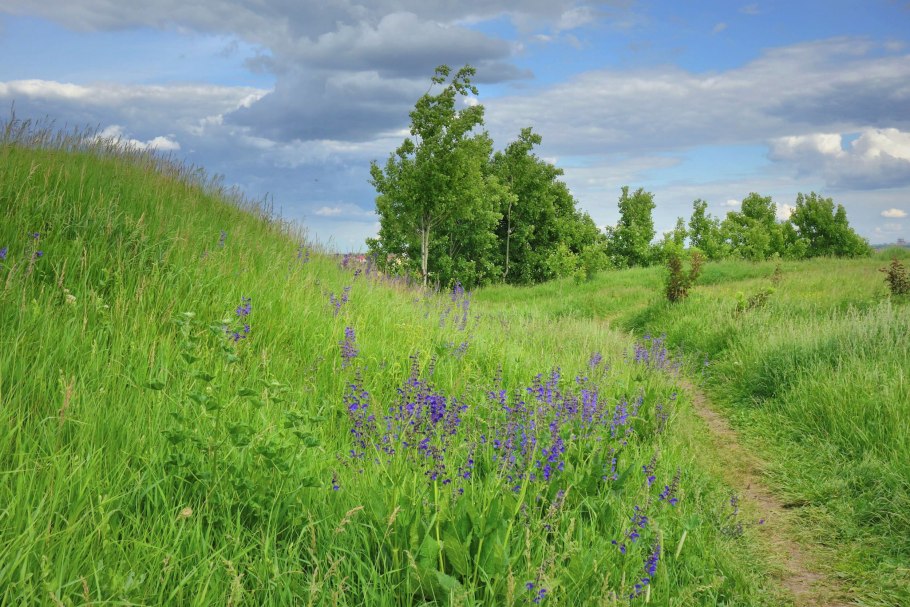 Луга Тверской области