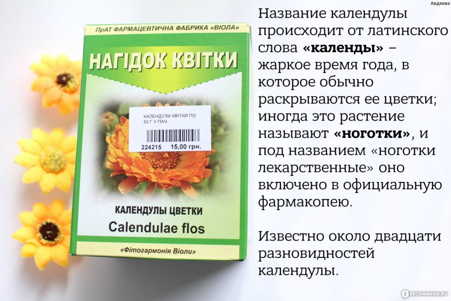 Календула ноготки Фармакогнозия