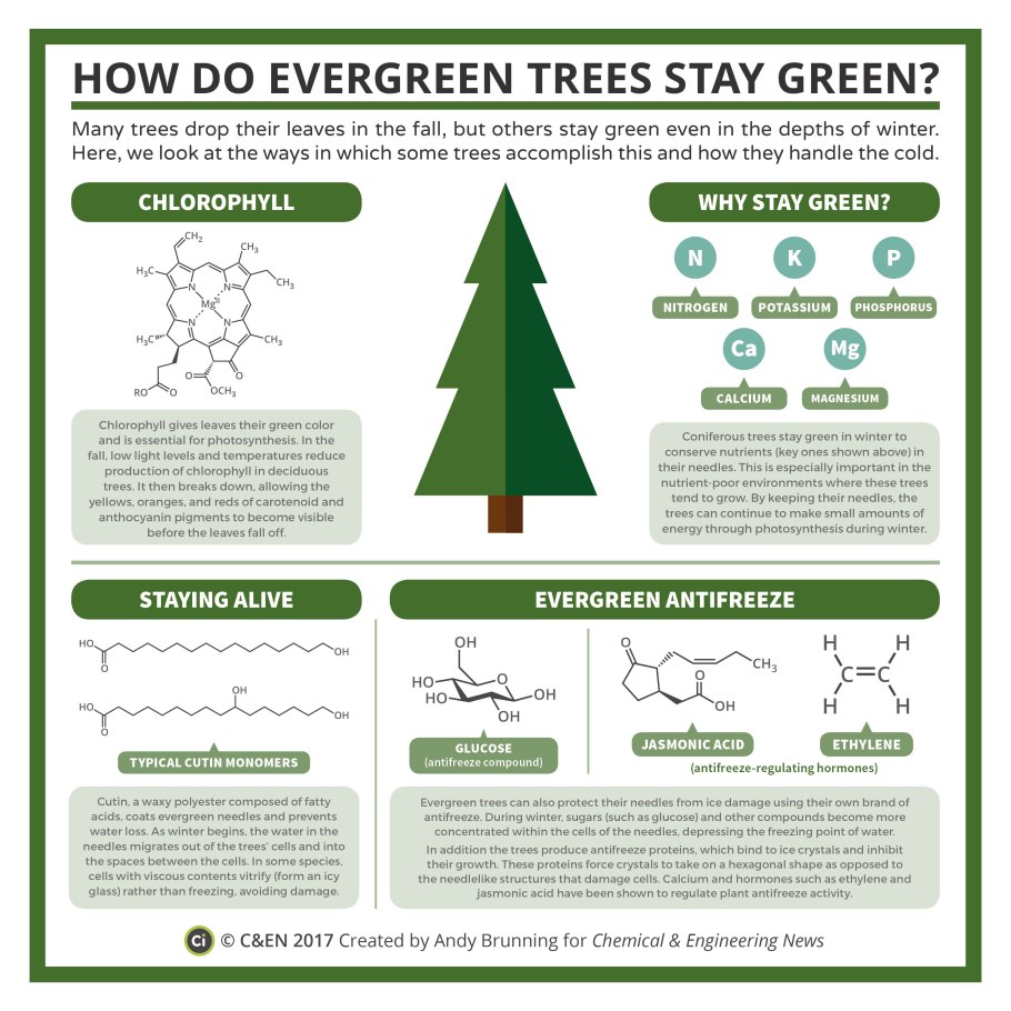 Tree Chemicals