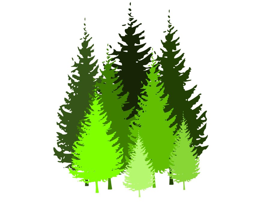 Ель Векторная Графика