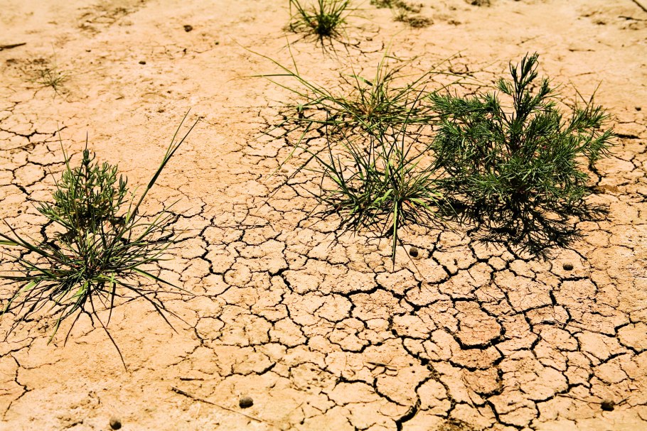 Пустыни песчаные и глинистые