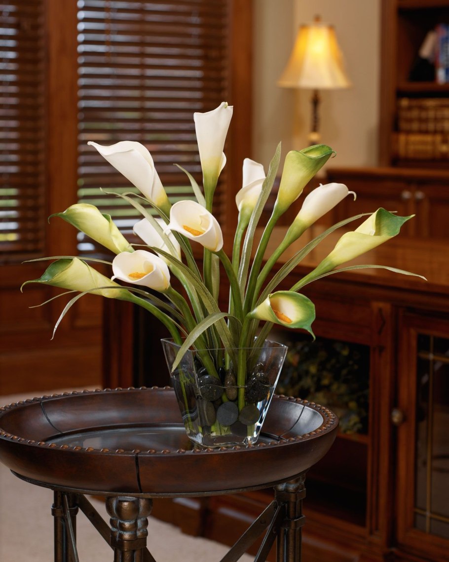 Комнатная Калла Зантедеския