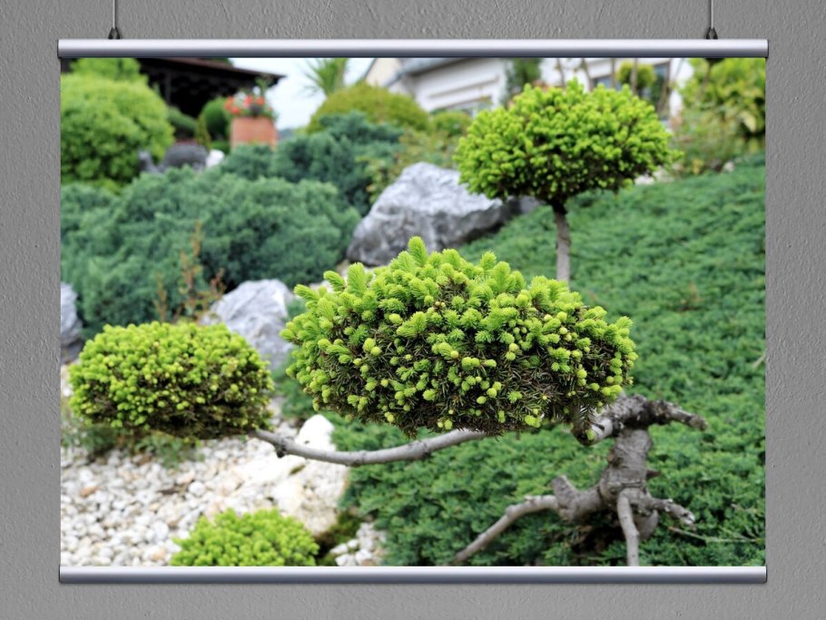 Ниваки Котобуки