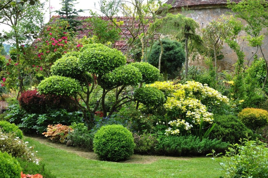 Самоформирующиеся хвойники