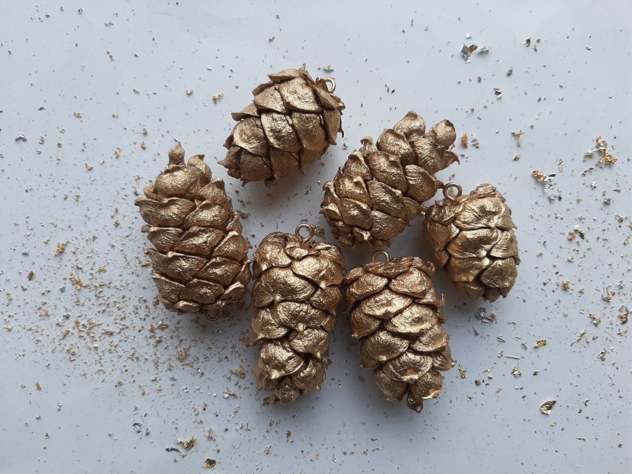 Ель обыкновенная диаметр кроны