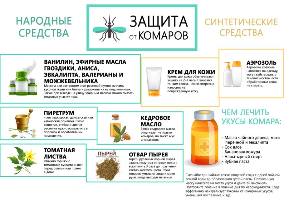 Цветы репелленты