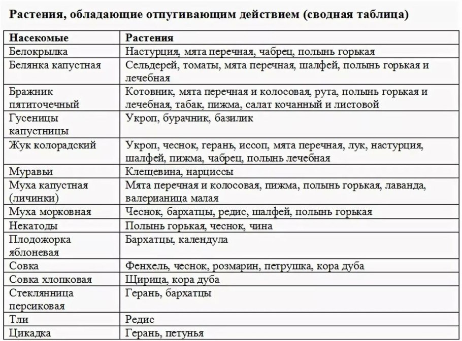 Таблица насекомые вредители сада и леса