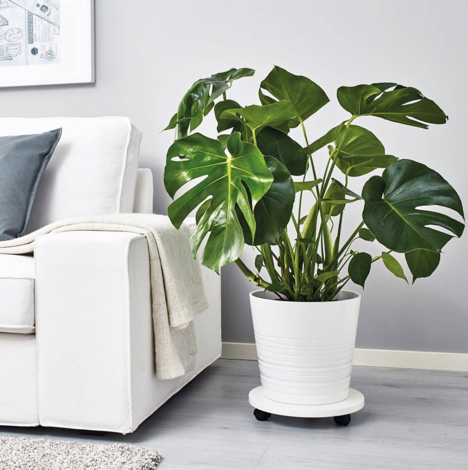 Кашпо с автополивом комфорт 12л