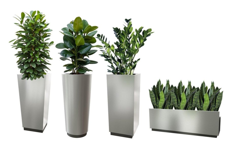 Хонадон гуллари