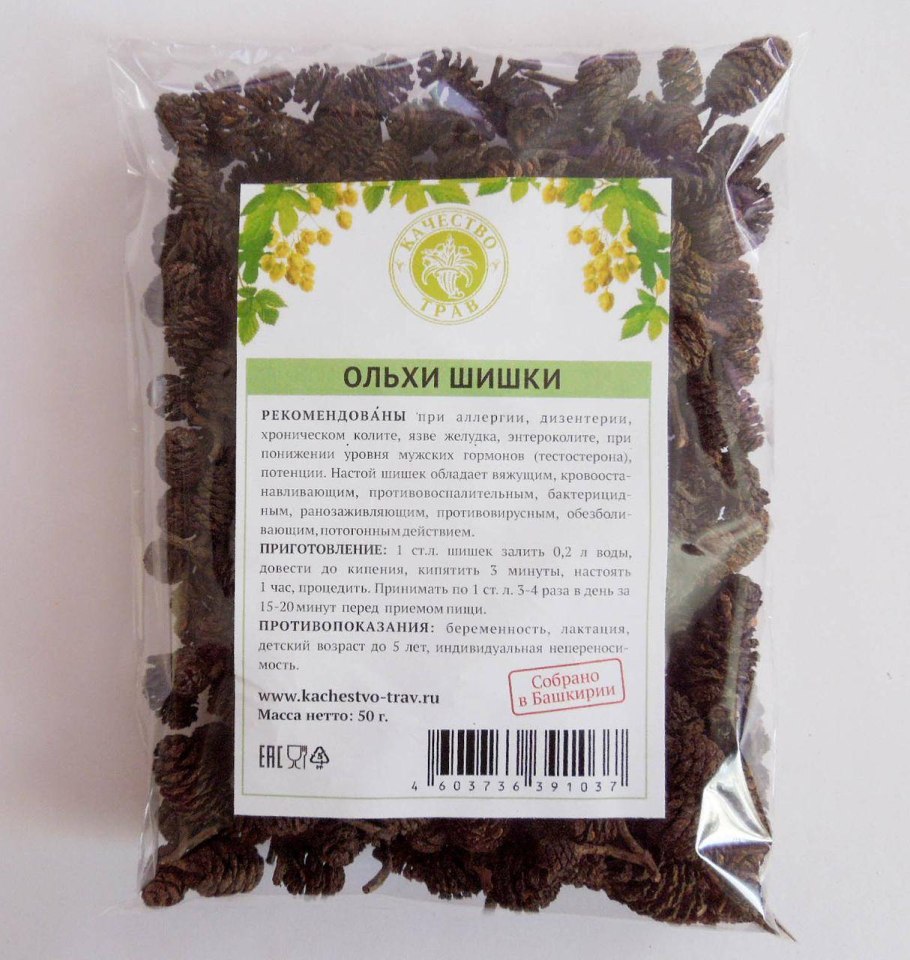 Ольха соплодия лечебные