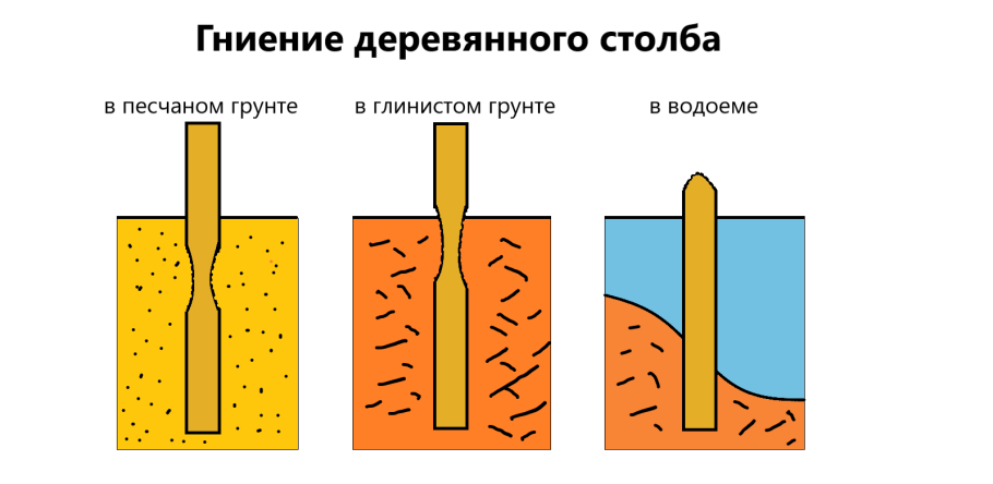 Омолаживающая обрезка тополя нормативы