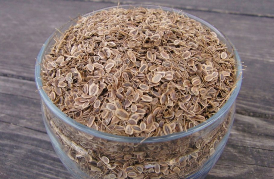 Семена укропа ЛРС