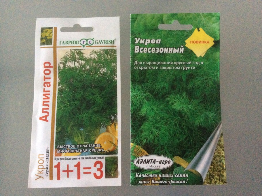Семена укропа фото