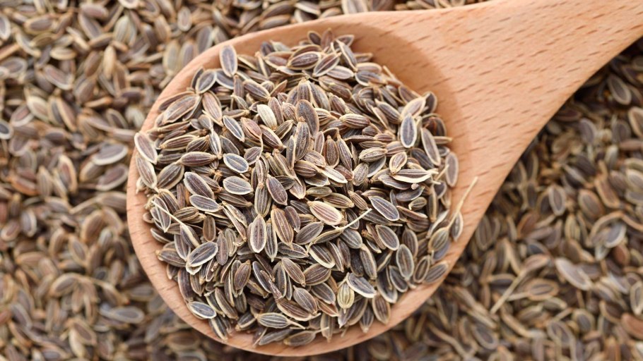 Укроп Грибовский, 2г