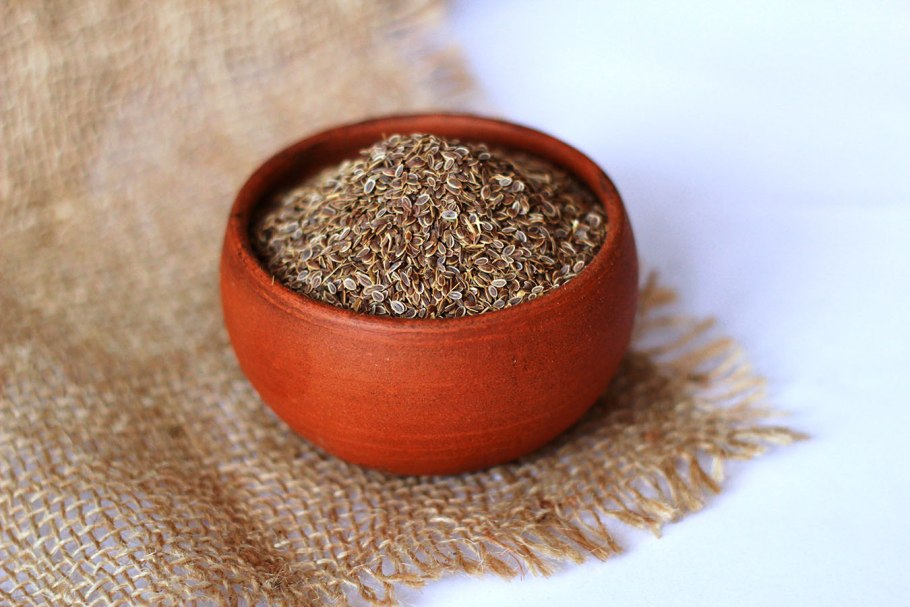 Сбор семян укропа