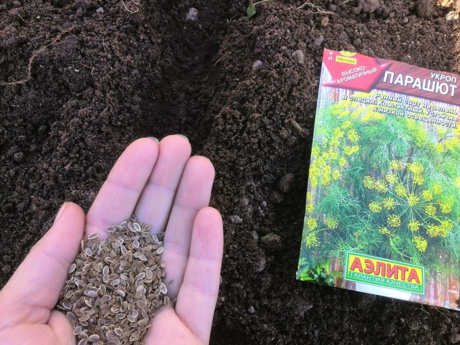 Старославъ семена укроп 100 г