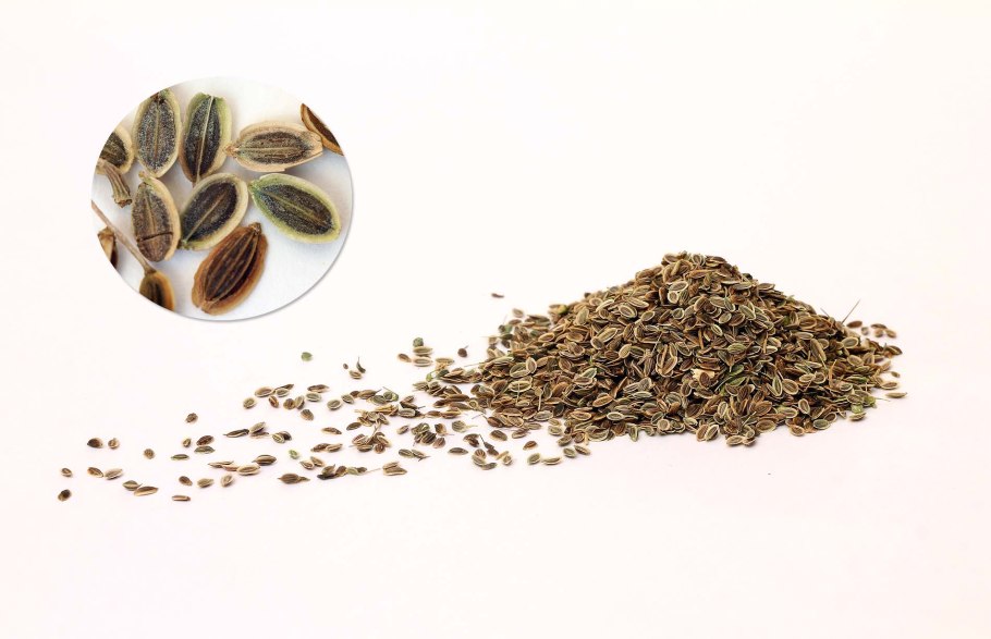 Чай из семян (фенхель, анис, Амарант и пр.)