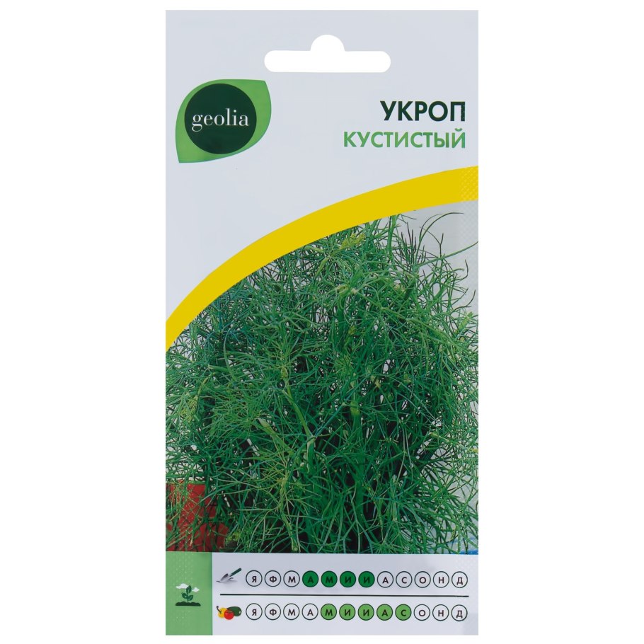 Анис обыкновенный семена