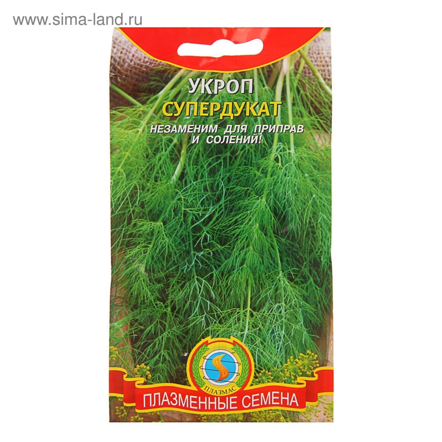Укроп Супердукат