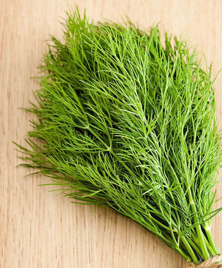 Семена укропа лечебные