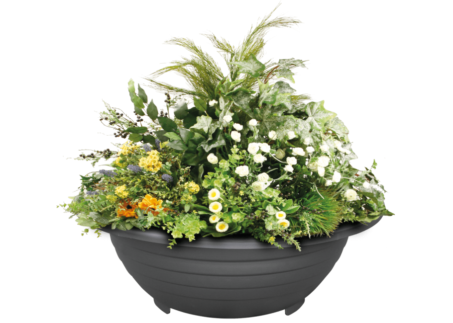 Цветы в кадках