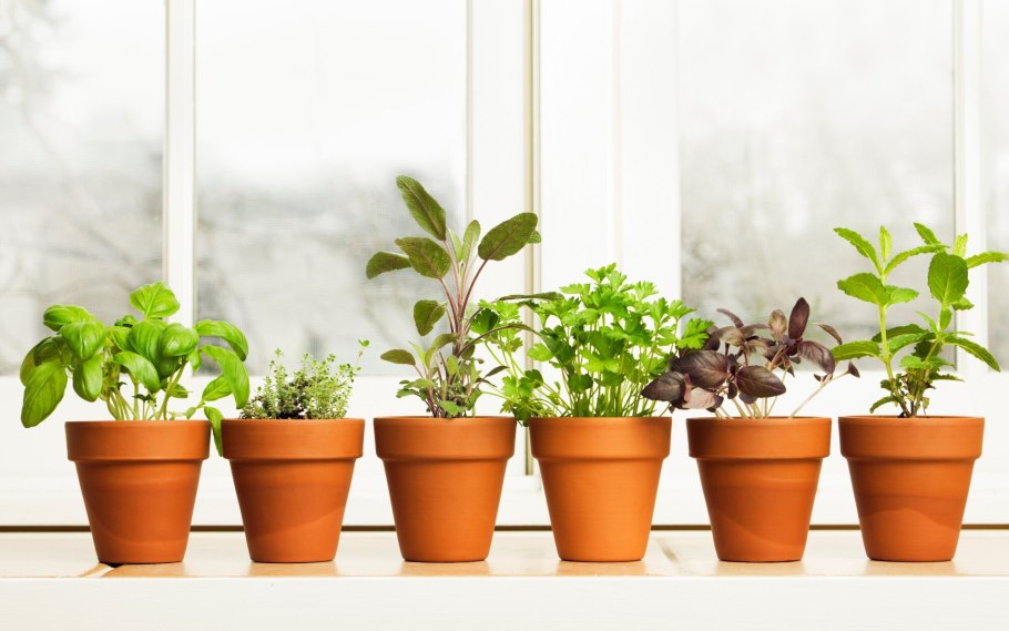 Горшок на подоконнике