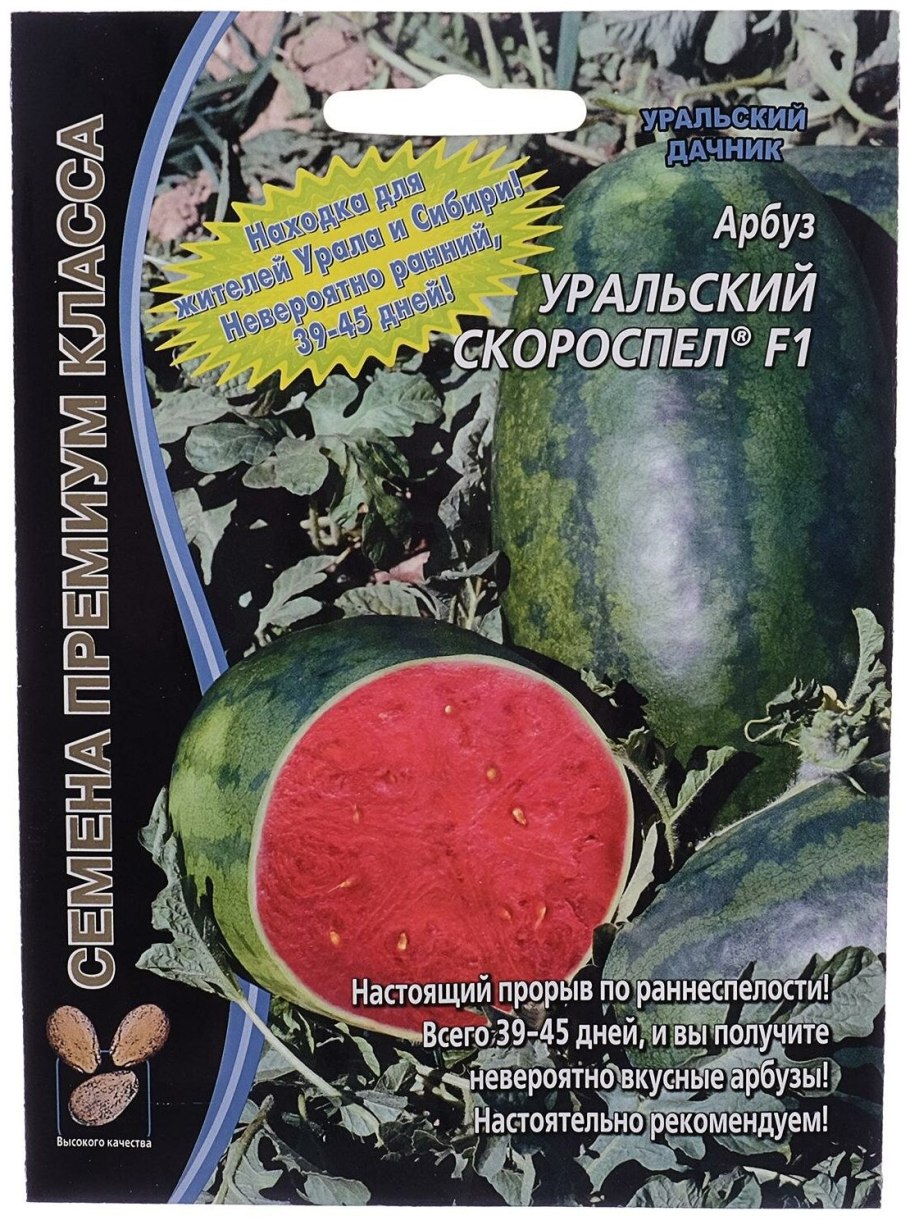Семена СЕДЕК Арбуз скороспелый
