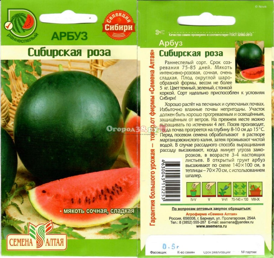 FRZ.Temp холодильник