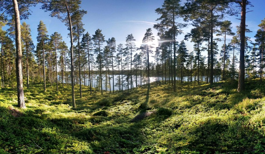Хосса национальный парк