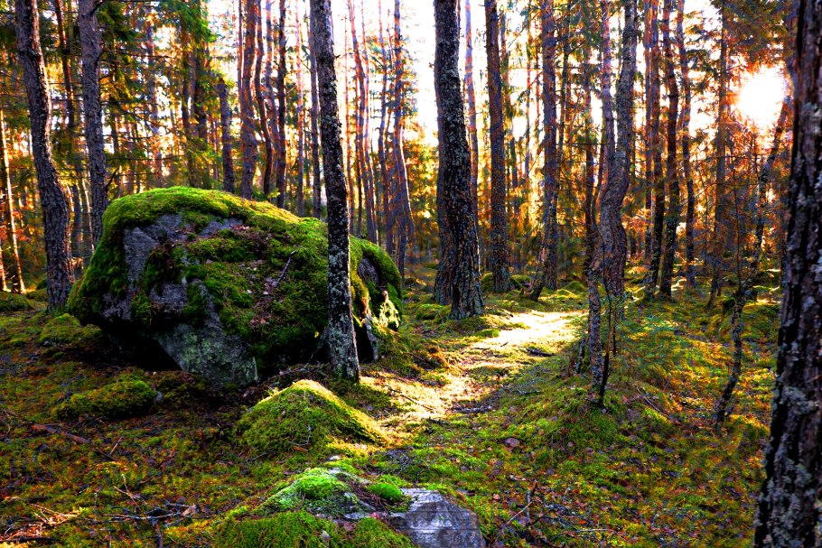 Мурманск природа Кольский полуостров