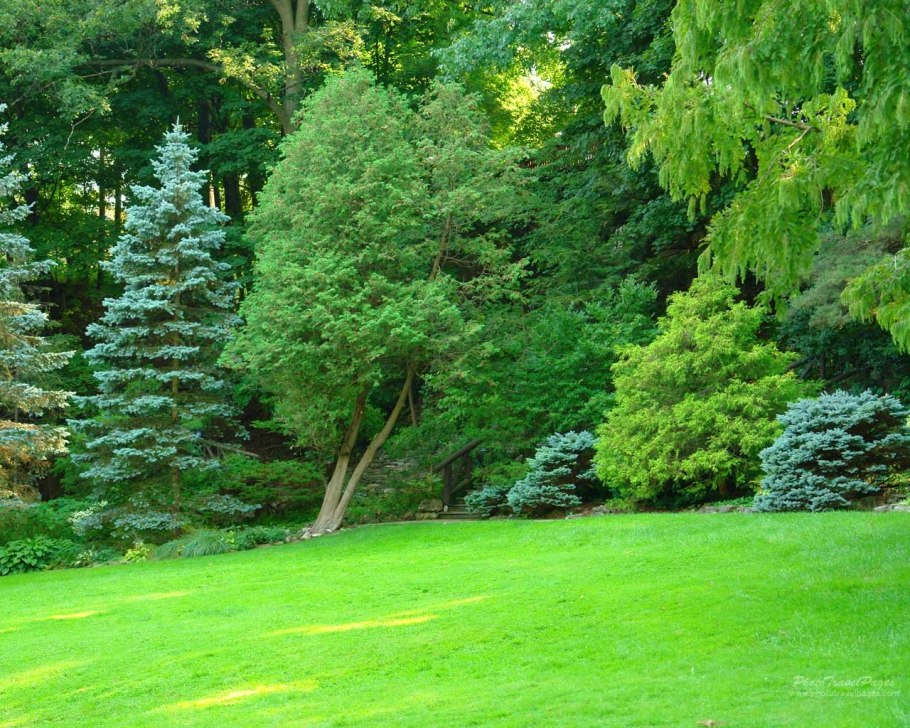 Грин Гарден парк