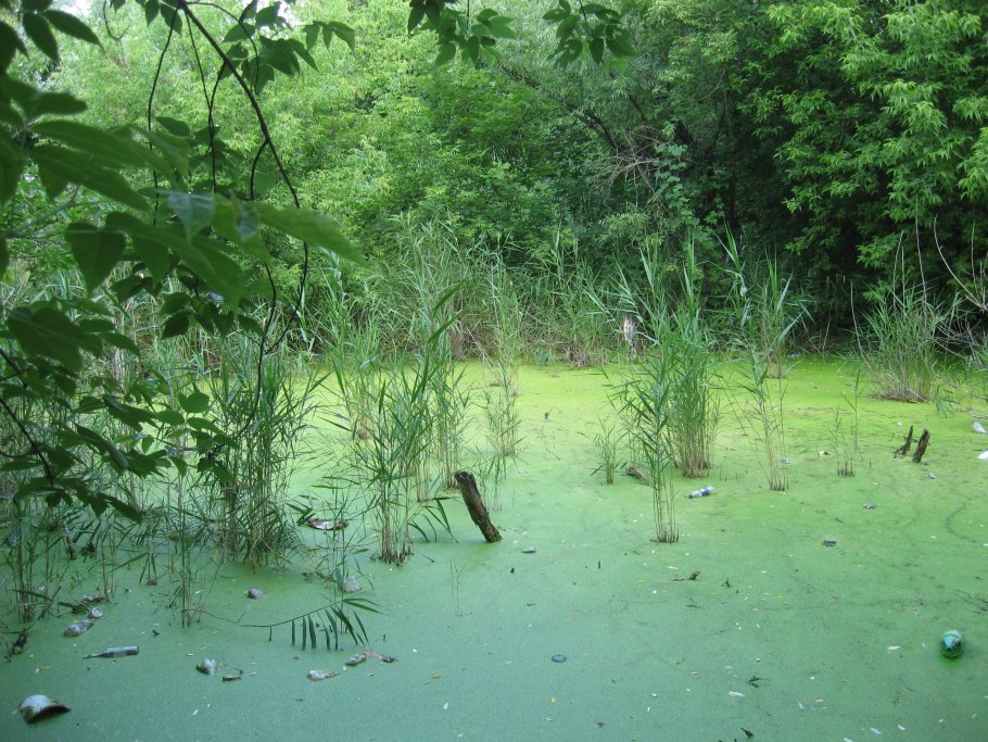 Кирсти Митчелл фотограф