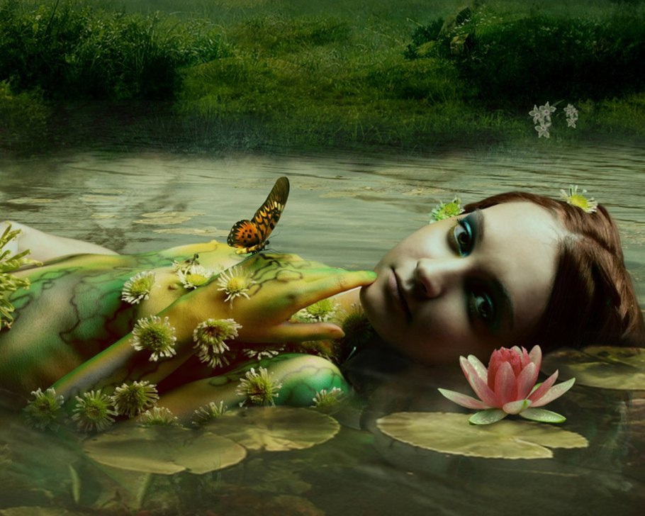 Аэрофильные водоросли