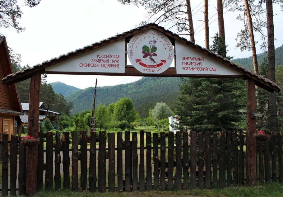 Ботанический сад Камлак