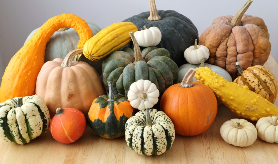 Тыква оранжевый десерт 5шт