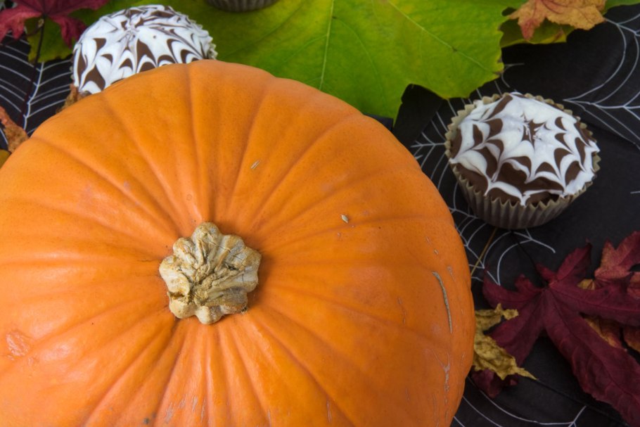 Тиква Принс