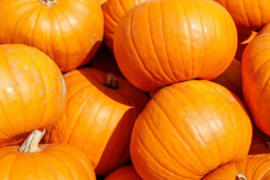 Тыква оранжевая круглая